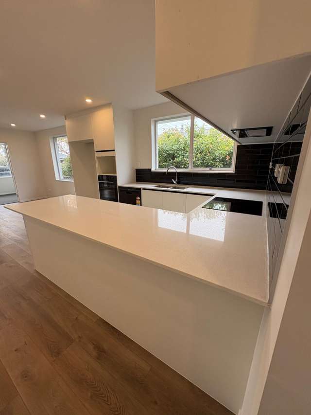  74 Salford Street Gore_2