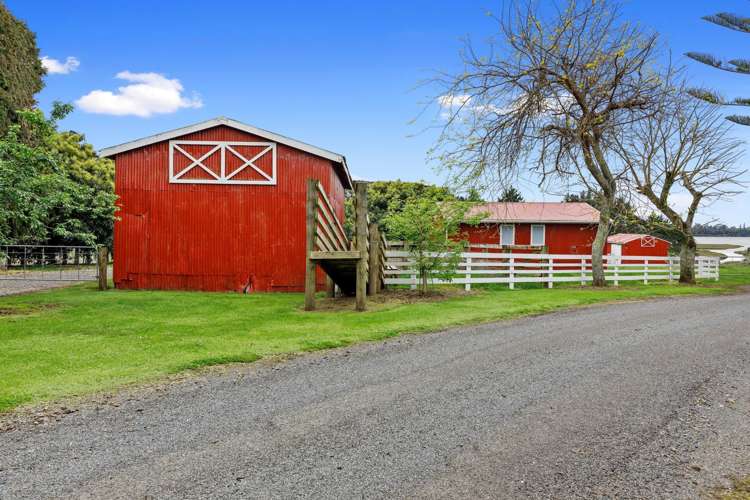 Old Highway Whakamarama_2