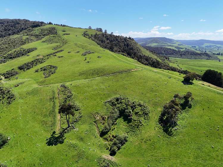 124 Niagara Waikawa Road Niagara_1