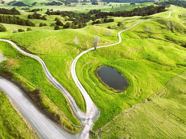 1858 Pukehuia Road Dargaville_4