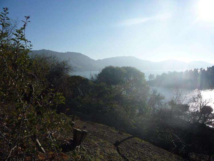 2d Marama Terrace Diamond Harbour_3