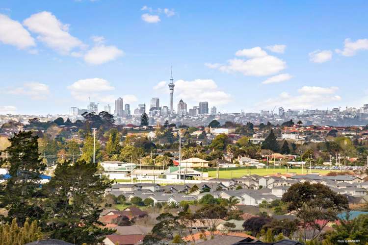 45 Platinum Rise Ranui_3