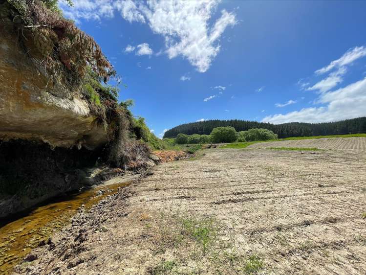 2336 Winchester - Hanging Rock Road Geraldine_7