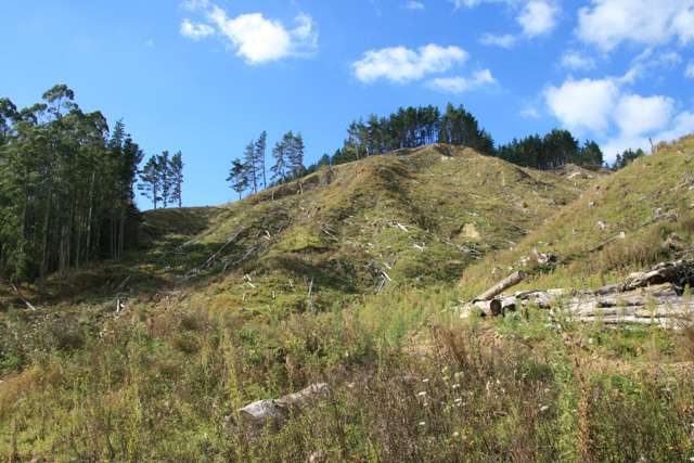 0n Tangahoe Valley Road Ohangai_2