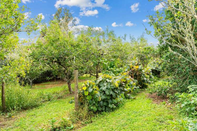 174 Whatitiri Road Maungatapere_26