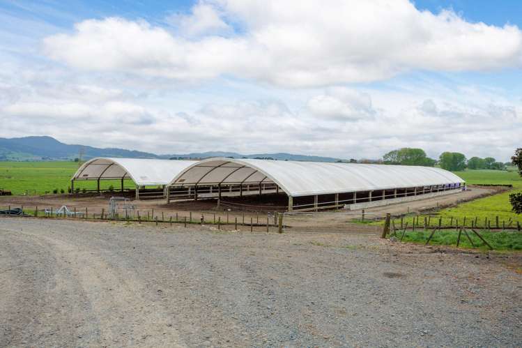 435 and 452 Tainui Road Morrinsville_7