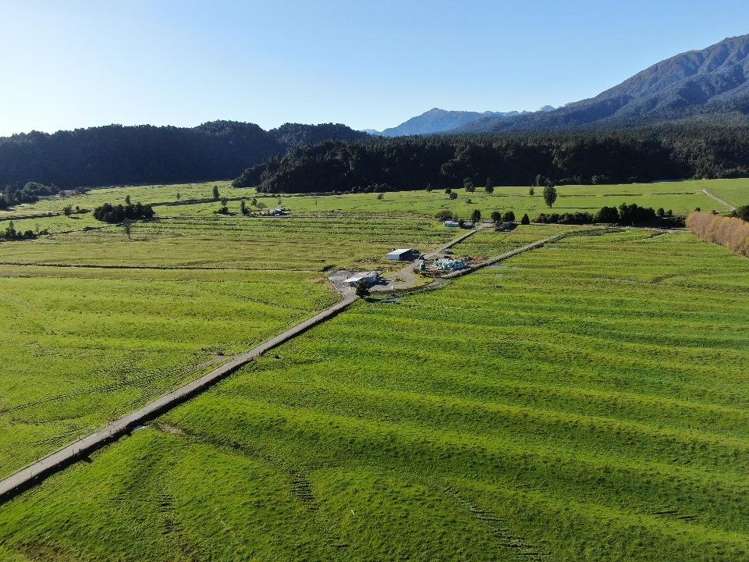 217 Poerua Valley Road Harihari_19