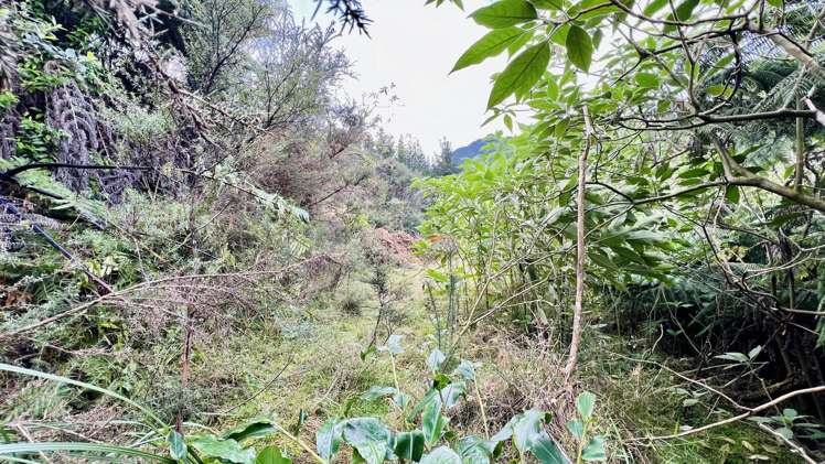 694 The 309 Road, Waiau Coromandel_8