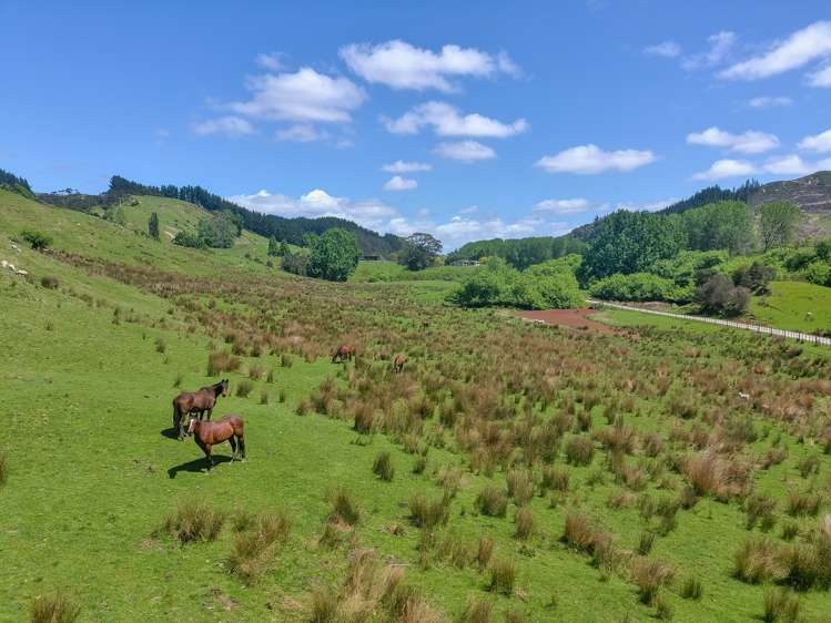 370 Matatara Road Parikino_4