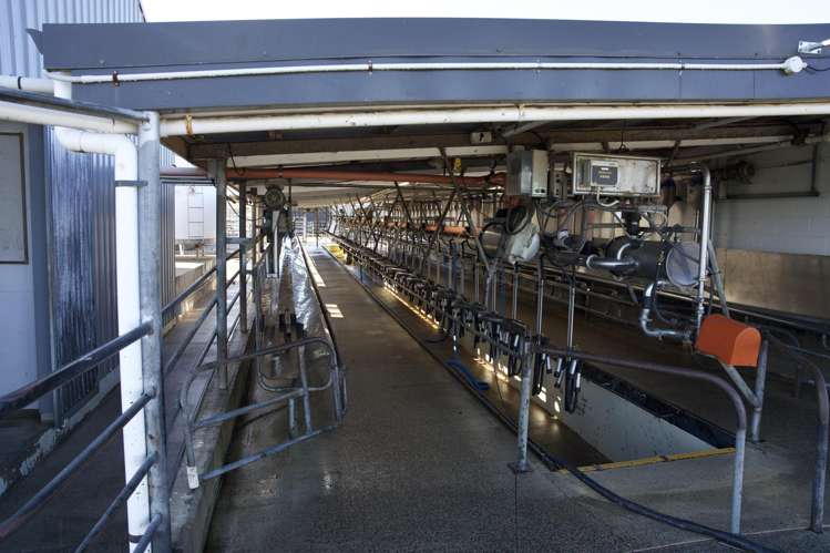 375 Waring Road Taupiri_10