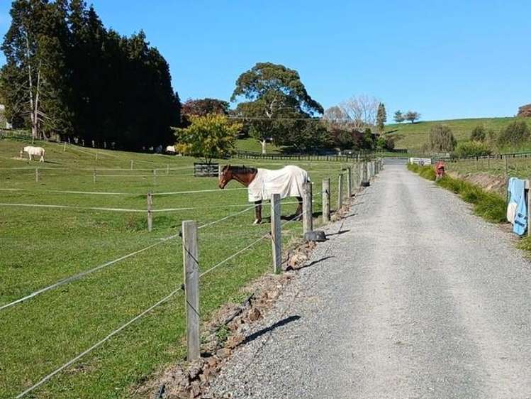 105 Willis Road Ngahinapouri_32