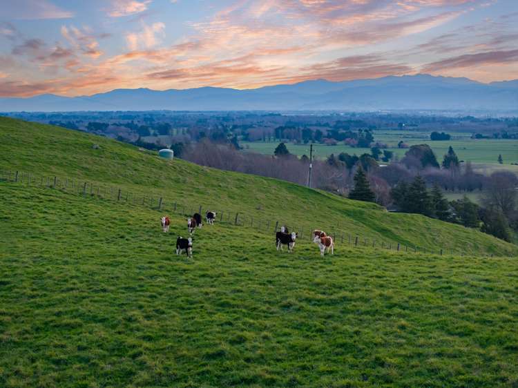 5/546 Masterton Castlepoint Road Masterton_7