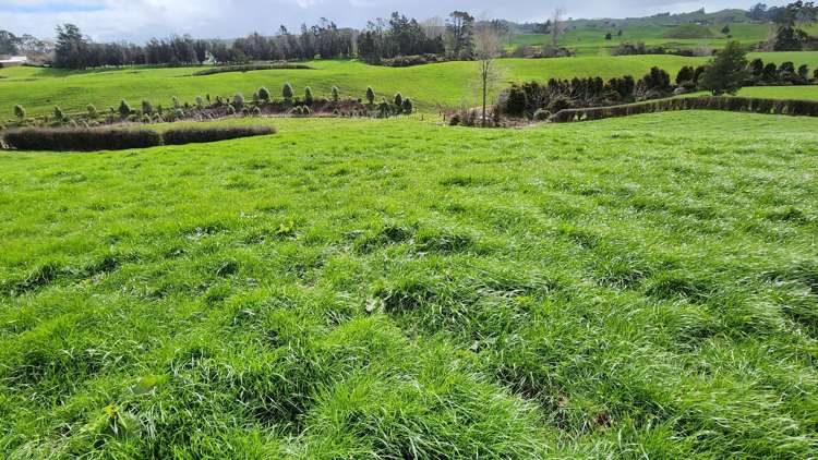 369 Tarata Road Inglewood_13