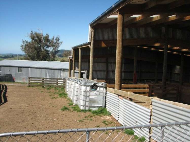 183 Gunn Road Catlins Surrounds_10