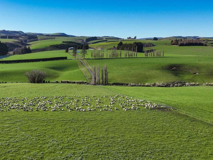 125B Davidson Road Mimihau_14