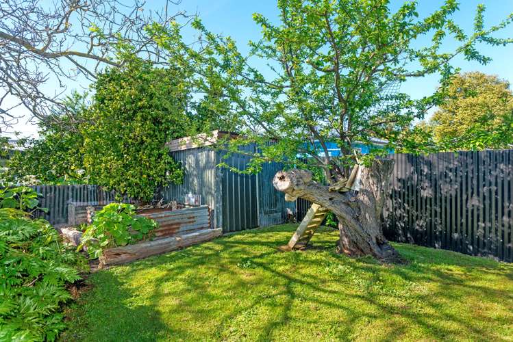 59 Graham Road Inner Kaiti_22
