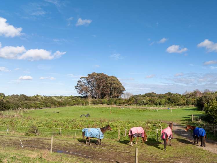 54 Lake Road Horsham Downs_8