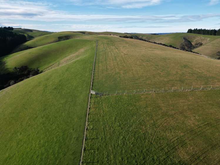 92 Cameron Road Hillend_17