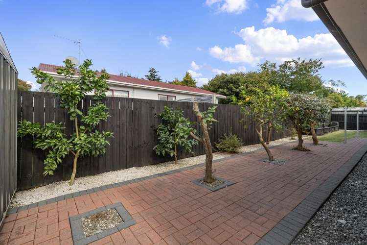 13 Bexley Way Morrinsville_13