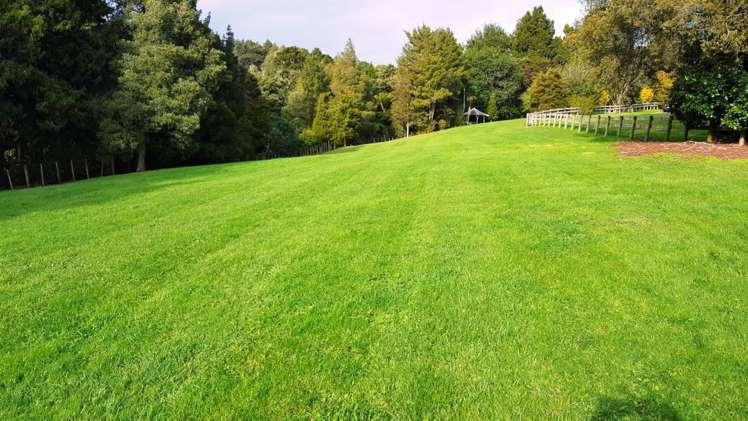 9 Pearson Road Whitford_12