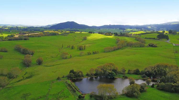 Kaiwaka-Mangawhai Road Kaiwaka_0