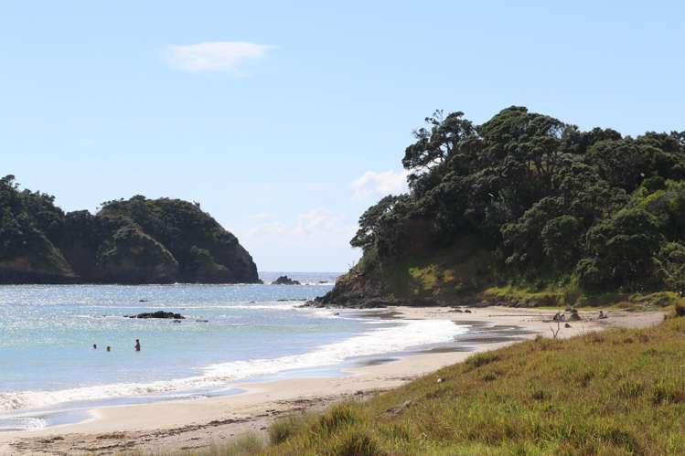 Lot 1 Tern Lane Whananaki_9