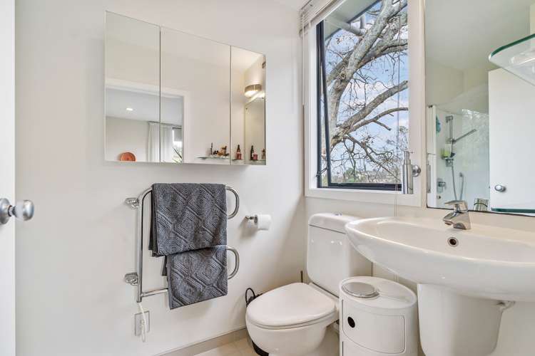 47a Hendry Avenue Hillsborough_16