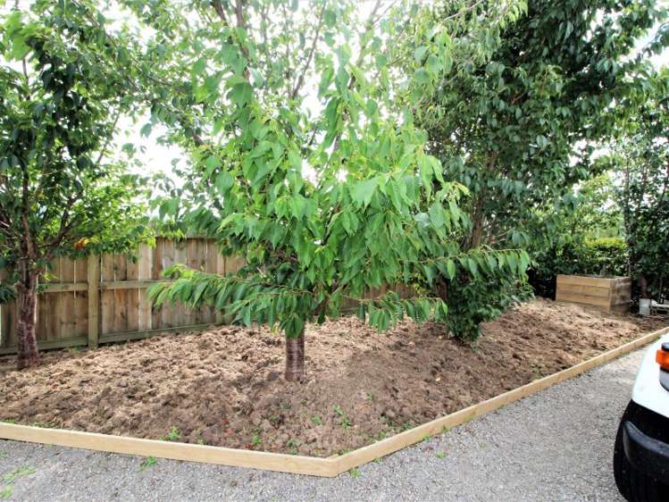 118 Grey Street Woodville_13