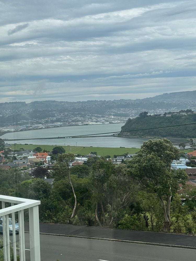 18 Highcliff Road Andersons Bay_6