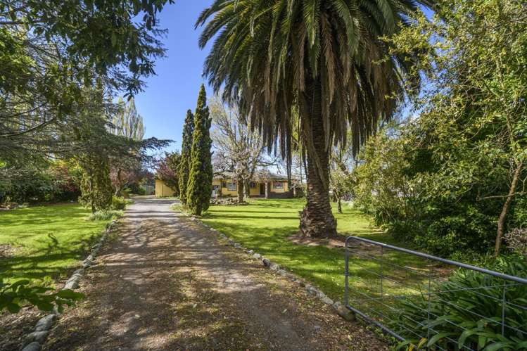 1136 Rangitikei Line Newbury_2