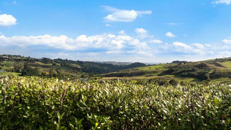 175 Chamberlain Road Bombay_23