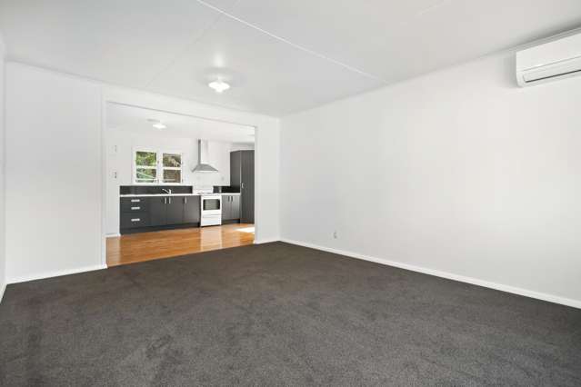 49 Judd Crescent Naenae_4