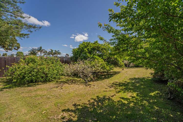 22 Dundas Street Whitianga_19