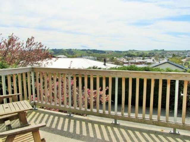 43 Lewin Street Balclutha_2