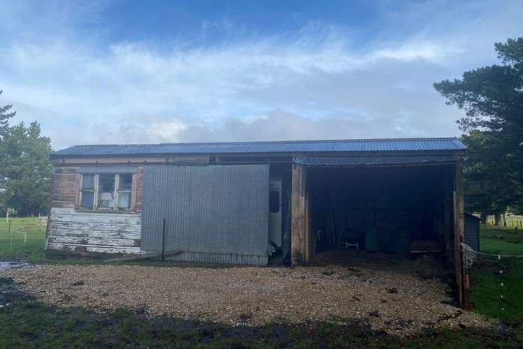 21 Pakawau-Bush Road Kahurangi National Park_17