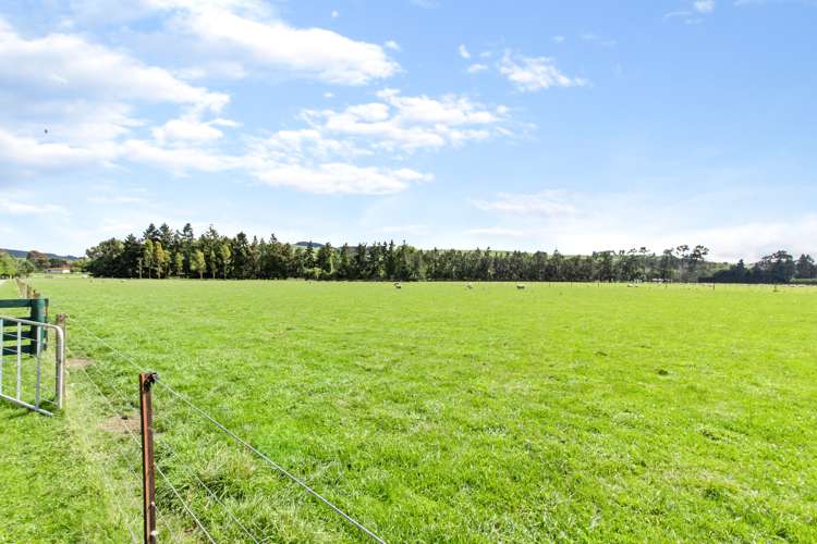 35 Andrew Street Allenton_17