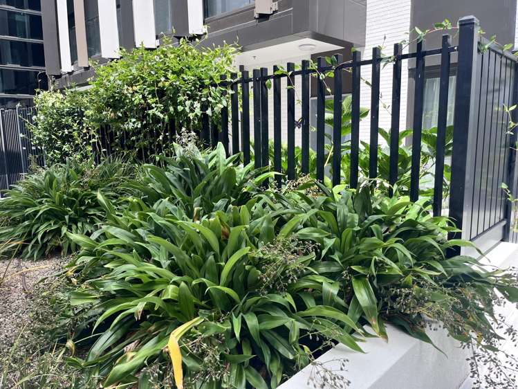 G03/2B Munroe Lane Albany_12