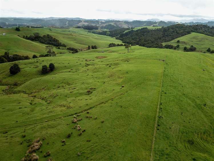 State Highway One Taupo_23