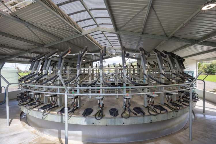 354 Kumuiti Road Fordell_13