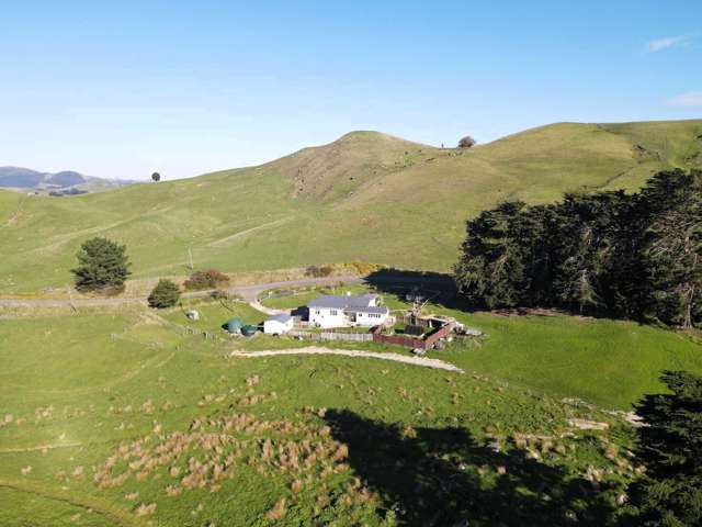 147 Mangatuna Road Dannevirke_2