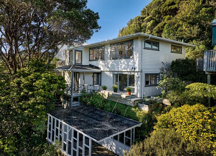 19 Norwich Street Wadestown_15