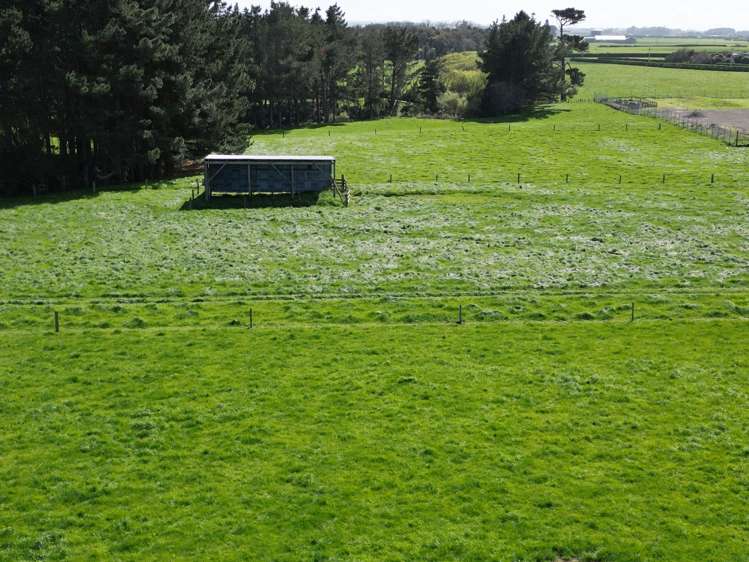 Ahipaipa Road Okaiawa_7