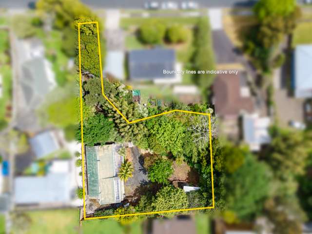 17 Nikau Street New Lynn_1