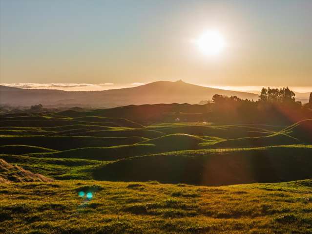 473 Otake Road Marotiri_2