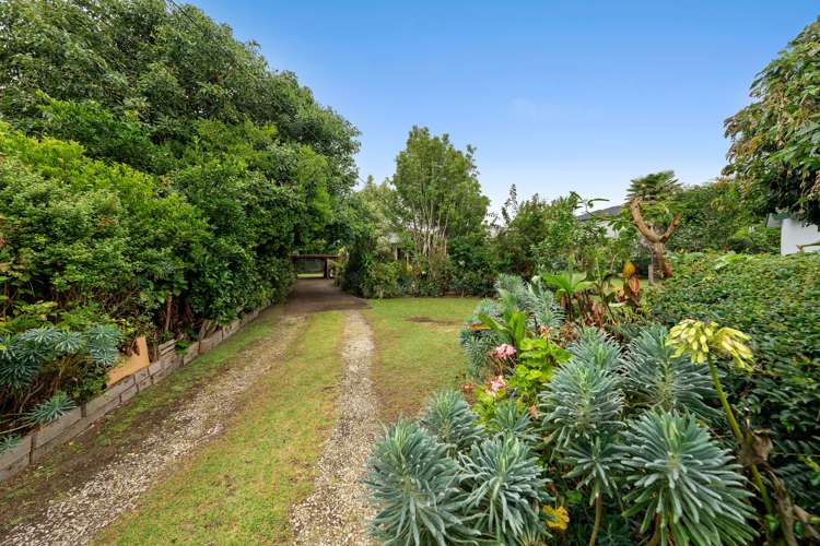 86 Mead Street Avondale_8