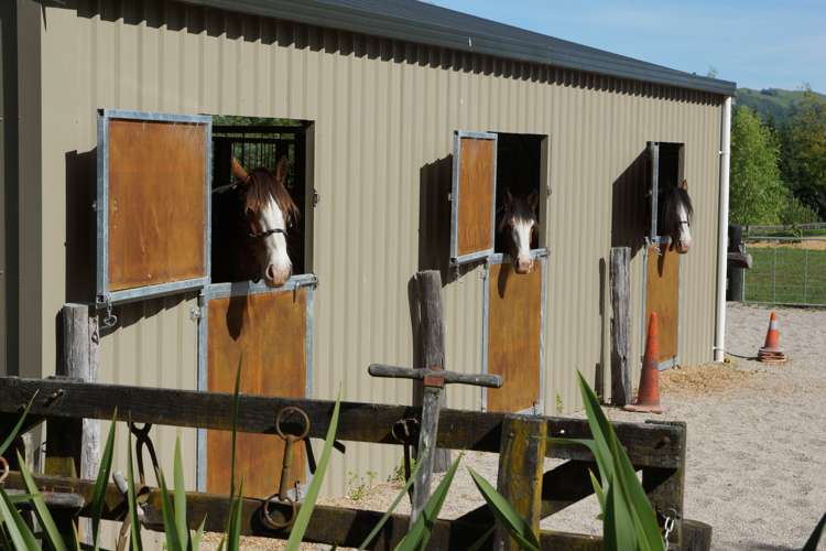 7/864 Whangamata Road Kinloch_3