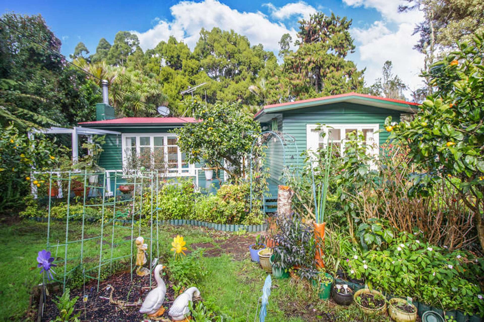 16 Waima Crescent Titirangi_0