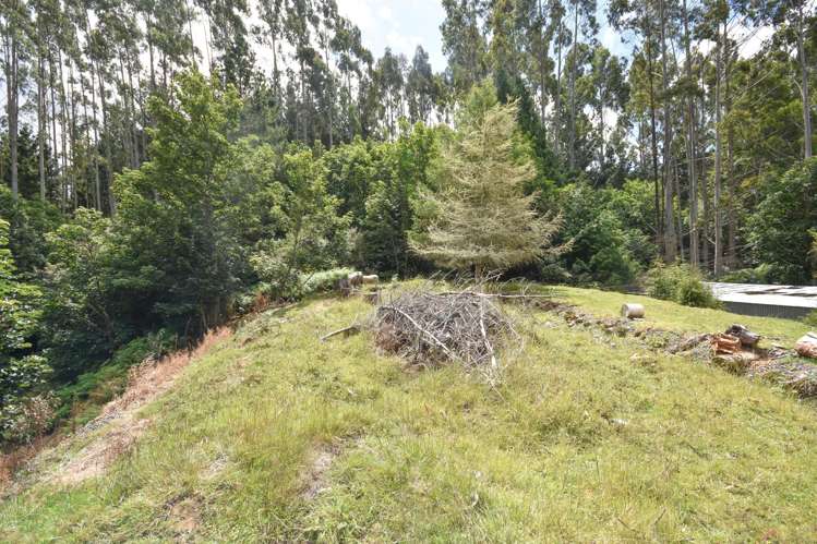 317 Leith Valley Road Leith Valley_25