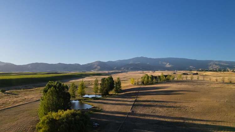 309 Golden Road Alexandra_11