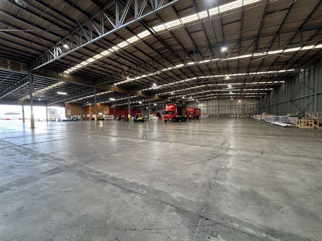 23E Bennett Street Palmerston North_3